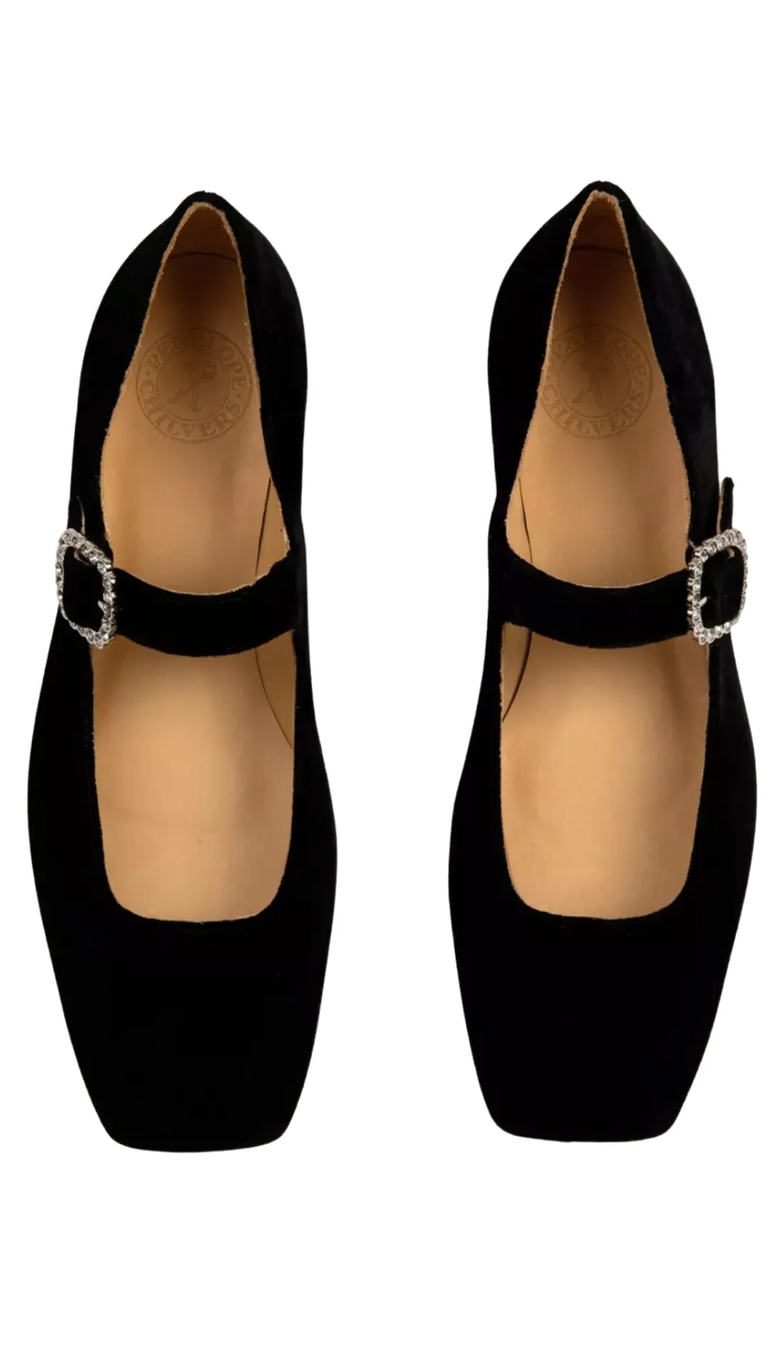 Low Mary Jane Diamante Velvet Shoe